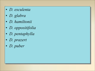 • D. esculenta
• D. glabra
• D. hamiltonii
• D. oppositifolia
• D. pentaphylla
• D. prazert
• D. puber
 