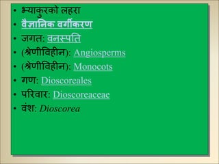 • भ्याकु िको लहिा
• वैज्ञानिक वर्गीकरण
• जगत: विस्पनत
• (श्रेणीववहीि): Angiosperms
• (श्रेणीववहीि): Monocots
• गण: Dioscoreales
• परिवाि: Dioscoreaceae
• वंश: Dioscorea
 