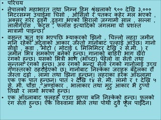 • परिचय
• िेपालको महाभाित तथा निम्ि टहम श्रृंखलाको ९०० देखख ३,०००
ममििसम्म उचाईमा चचसो , ओमसलो ि पतकि कु हेि मल भएको ,
अक्सि गिेि ढुङ्गै ,ढुङ्गा भएको मभिालो जग्गामा साल , सल्ला ,
लालीगुुँिाुँस , किुस , फलाुँस इत्याटदको जंगलमा यो प्रशस्त
मात्रामा पाइन्छ।
• वसन्त ऋतु शुरु भएपनछ भ्याकु िको खििो , चचल्लो लहिा जमीि
मुनि िहेको अदुवाको आकाि जस्तो गािोबाि पल्हाई आउुँछ। गािो
साहो , कडा , मोिो ( मोिाई ६ मममलममिि देखख २ से.मी. ) ि
जमीि मभत्र समकोण बिेको हुन्छ। गािाको बाटहिी भाग खैिो
िंगको हुन्छ। यसको मभत्री भाग (भाुँच्दा) पुँहेलो वा सेतो तथा
सुन्तला िंगको हुन्छ। अरु िंगको भन्दा सेतो िंगको गािोलाई उच्च
गुणस्तिको ठहिाईएको छ। गािोबाि निस्के का जिाहरू बुँदेलका िौँ
जस्ता दहो , लामा तथा खििा हुन्छि्। लहिाका हिेक आुँख्लामा
एक एक पात हुन्छि्। पात २ देखख १४ से. मी. लामो ि १ देखख ५
से. मी. चौडा , अण्डाकाि , भालाकाि तथा मुिु आकाि भै िुप्पो
नतखो ि लामो भएको हुन्छ।
• एक आुँख्लाबाि फू लहरू एउिा िुप्पा बनि निस्के को हुन्छ। फू लको
िंग सेतो हुन्छ। एकै ववरुवामा भाले तथा पोथी दुवै फू ल पाईँदैि।
 