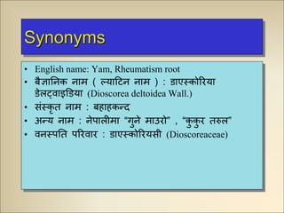 Synonyms
• English name: Yam, Rheumatism root
• बैज्ञानिक िाम ( ल्याटिि िाम ) : डाएस्कोरिया
डेलट्वाइडडया (Dioscorea deltoidea Wall.)
• संस्कृ त िाम : बहाहकन्द
• अन्य िाम : िेपालीमा “गुिे माउिो” , “कु कु ि तरुल”
• विस्पनत परिवाि : डाएस्कोरियसी (Dioscoreaceae)
 