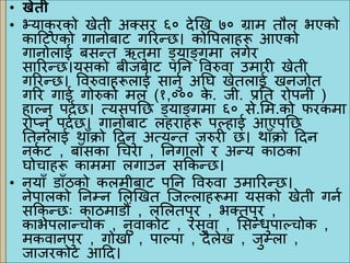 • खेती
• भ्याकु िको खेती अक्सि ६० देखख ७० ग्राम तौल भएको
काटिएको गािोबाि गरिन्छ। कोवपलाहरू आएको
गािोलाई बसन्त ऋतुमा ड्याङ्गमा लगेि
सारिन्छ।यसको बीजबाि पनि ववरुवा उमािी खेती
गरिन्छ। ववरुवाहरूलाई सािुु अनि खेतलाई खिजोत
गरि गाई गोरुको मल (१,००० के . जी. प्रनत िोपिी )
हाल्िु पदुछ। त्यसपनछ ड्याङ्गमा ६० से.मम.को फिकमा
िोप्िु पदुछ। गािोबाि लहिाहरू पल्हाई आएपनछ
नतिलाई थाुँक्रो टदिु अत्यन्त जरुिी छ। थाुँक्रो टदि
िकु ि , बाुँसका चचिा , निगालो ि अन्य काठका
िोचाहरू काममा लगाउि सककन्छ।
• ियाुँ डाुँठको कलमीबाि पनि ववरुवा उमारिन्छ।
िेपालको निम्ि मलखखत जजल्लाहरूमा यसको खेती गिु
सककन्छः काठमाडौं , लमलतपुि , भक्तपुि ,
काभेपलान्चोक , िुवाकोि , िसुवा , मसन्धुपाल्चोक ,
मकवािपुि , गोखाु , पाल्पा , दैलेख , जुम्ला ,
जाजिकोि आटद।
 