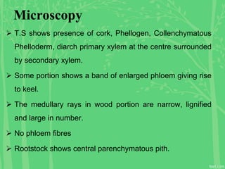 Microscopy
 T.S shows presence of cork, Phellogen, Collenchymatous
Phelloderm, diarch primary xylem at the centre surrounded
by secondary xylem.
 Some portion shows a band of enlarged phloem giving rise
to keel.
 The medullary rays in wood portion are narrow, lignified
and large in number.
 No phloem fibres
 Rootstock shows central parenchymatous pith.
 