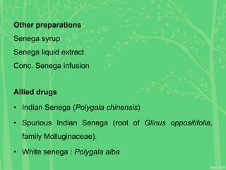 Other preparations
Senega syrup
Senega liquid extract
Conc. Senega infusion
Allied drugs
• Indian Senega (Polygala chinensis)
• Spurious Indian Senega (root of Glinus oppositifolia,
family Molluginaceae).
• White senega : Polygala alba
 