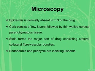 Microscopy
 Epidermis is normally absent in T.S of the drug.
 Cork consist of few layers followed by thin walled cortical
parenchymatous tissue.
 Stele forms the major part of drug consisting several
collateral fibro-vascular bundles.
 Endodermis and pericycle are indistinguishable.
 