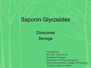 Saponin Glycosides
Dioscorea
Senega
Prepared by,
Ms. M.S. Divya Sree,
Assistant Professor,
Department of Pharmacognosy,
Sree Vidyanikethan College of Pharmacy,
Tirupati, Andhra Pradesh
 