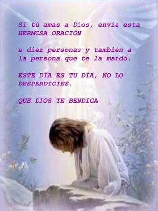 Si tú amas a Dios, envía esta
HERMOSA ORACIÓN

a diez personas y también a
la persona que te la mandó.

ESTE DÍA ES TU DÍA, NO LO
DESPERDICIES.

QUE DIOS TE BENDIGA
 