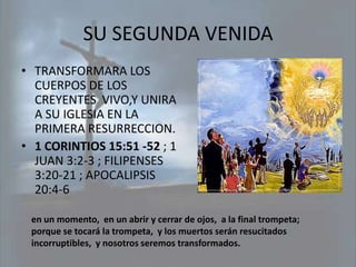 SU SEGUNDA VENIDA
• TRANSFORMARA LOS
  CUERPOS DE LOS
  CREYENTES VIVO,Y UNIRA
  A SU IGLESIA EN LA
  PRIMERA RESURRECCION.
• 1 CORINTIOS 15:51 -52 ; 1
  JUAN 3:2-3 ; FILIPENSES
  3:20-21 ; APOCALIPSIS
  20:4-6

 en un momento, en un abrir y cerrar de ojos, a la final trompeta;
 porque se tocará la trompeta, y los muertos serán resucitados
 incorruptibles, y nosotros seremos transformados.
 