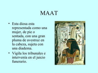 MAAT Esta diosa esta representada como una mujer, de pie o sentada, con una gran pluma de avestruz en la cabeza, sujeta con una diadema. Vigila los tribunales e intervenía en el juicio funerario. 