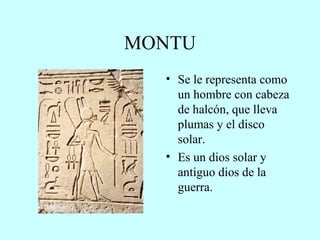 MONTU Se le representa como un hombre con cabeza de halcón, que lleva plumas y el disco solar. Es un dios solar y antiguo dios de la guerra. 
