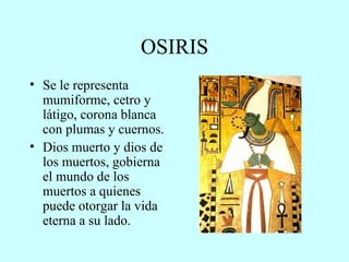 OSIRIS Se le representa mumiforme, cetro y látigo, corona blanca con plumas y cuernos. Dios muerto y dios de los muertos, gobierna el mundo de los muertos a quienes puede otorgar la vida eterna a su lado. 