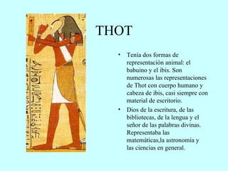 THOT Tenía dos formas de representación animal: el babuino y el ibis. Son numerosas las representaciones de Thot con cuerpo humano y cabeza de ibis, casi siempre con material de escritorio. Dios de la escritura, de las bibliotecas, de la lengua y el señor de las palabras divinas. Representaba las matemáticas,la astronomía y  las ciencias en general. 