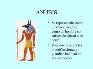 ANUBIS Se representaba como un chacal negro o como un hombre con cabeza de chacal o de perro. Dios que presidía las momificaciones y guardián habitual de las necrópolis. 