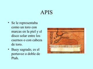 APIS Se le representaba como un toro con marcas en la piel y el disco solar entre los cuernos o con cabeza de toro. Buey sagrado, es el portavoz o doble de Ptah. 