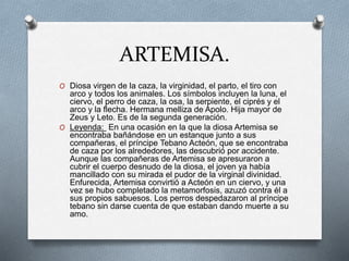 ARTEMISA.
O Diosa virgen de la caza, la virginidad, el parto, el tiro con
arco y todos los animales. Los símbolos incluyen la luna, el
ciervo, el perro de caza, la osa, la serpiente, el ciprés y el
arco y la flecha. Hermana melliza de Apolo. Hija mayor de
Zeus y Leto. Es de la segunda generación.
O Leyenda: En una ocasión en la que la diosa Artemisa se
encontraba bañándose en un estanque junto a sus
compañeras, el príncipe Tebano Acteón, que se encontraba
de caza por los alrededores, las descubrió por accidente.
Aunque las compañeras de Artemisa se apresuraron a
cubrir el cuerpo desnudo de la diosa, el joven ya había
mancillado con su mirada el pudor de la virginal divinidad.
Enfurecida, Artemisa convirtió a Acteón en un ciervo, y una
vez se hubo completado la metamorfosis, azuzó contra él a
sus propios sabuesos. Los perros despedazaron al príncipe
tebano sin darse cuenta de que estaban dando muerte a su
amo.
 