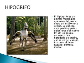  El hipogrifo es un
animal mitológico
que nace del cruce
entre un grifo y una
yegua. Su cabeza,
alas, pecho y patas
delanteras son como
las de un águila,
característica
heredada del padre,
y el resto del cuerpo
es como el de un
caballo, como la
madre.
 
