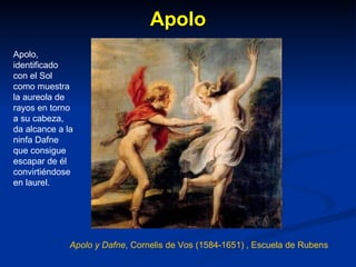 Apolo Apolo, identificado con el Sol como muestra la aureola de rayos en torno a su cabeza,  da alcance a la ninfa Dafne que consigue escapar de él convirtiéndose en laurel. Apolo y Dafne , Cornelis de Vos (1584-1651)   , Escuela de Rubens 