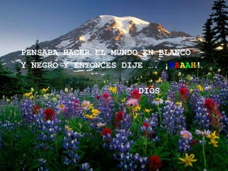 PENSABA HACER EL MUNDO EN BLANCO
Y NEGRO Y ENTONCES DIJE …. ¡NAAAH!

                      DIOS
 