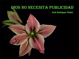 DIOS NO NECESITA PUBLICIDAD
José Rodríguez Peláez
 