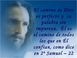 El camino de Dios es perfecto y  su palabra sin impureza.  Él es el camino de todos los que en Él confían, como dice en 2º Samuel – 22 – 31. 