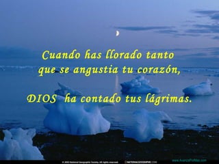 Cuando has llorado tanto
  que se angustia tu corazón,

DIOS  ha contado tus lágrimas.



                           Colabora con la distribución:

                           www.AvanzaPorMas.com
 