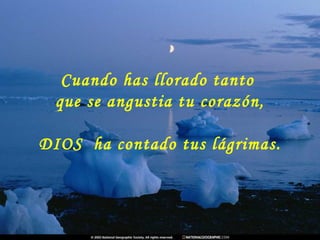 Cuando has llorado tanto
que se angustia tu corazón,
DIOS  ha contado tus lágrimas.
 