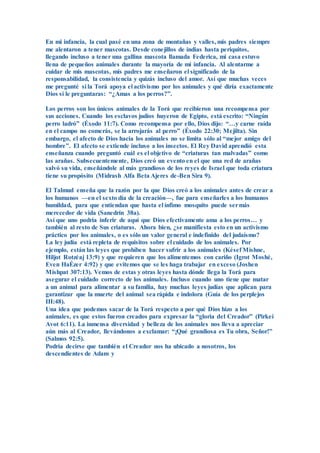 En mi infancia, la cual pasé en una zona de montañas y valles, mis padres siempre
me alentaron a tener mascotas. Desde conejillos de indias hasta periquitos,
llegando incluso a tener una gallina mascota llamada Federica, mi casa estuvo
llena de pequeños animales durante la mayoría de mi infancia. Al alentarme a
cuidar de mis mascotas, mis padres me enseñaron el significado de la
responsabilidad, la consistencia y quizás incluso del amor. Así que muchas veces
me pregunté si la Torá apoya el activismo por los animales y qué diría exactamente
Dios si le preguntaras: “¿Amas a los perros?”.
Los perros son los únicos animales de la Torá que recibieron una recompensa por
sus acciones. Cuando los esclavos judíos huyeron de Egipto, está escrito: “Ningún
perro ladró” (Éxodo 11:7). Como recompensa por ello, Dios dijo: “…y carne raída
en el campo no comerás, se la arrojarás al perro” (Éxodo 22:30; Mejilta). Sin
embargo, el afecto de Dios hacia los animales no se limita sólo al “mejor amigo del
hombre”. El afecto se extiende incluso a los insectos. El Rey David aprendió esta
enseñanza cuando preguntó cuál es el objetivo de “criaturas tan malvadas” como
las arañas. Subsecuentemente, Dios creó un evento en el que una red de arañas
salvó su vida, enseñándole al más grandioso de los reyes de Israel que toda criatura
tiene su propósito (Midrash Alfa Beta Ajeres de-Ben Sira 9).
El Talmud enseña que la razón por la que Dios creó a los animales antes de crear a
los humanos —en el sexto día de la creación—, fue para enseñarles a los humanos
humildad, para que entiendan que hasta el ínfimo mosquito puede sermás
merecedor de vida (Sanedrín 38a).
Así que uno podría inferir de aquí que Dios efectivamente ama a los perros… y
también al resto de Sus criaturas. Ahora bien, ¿se manifiesta esto en un activismo
práctico por los animales, o es sólo un valor general e indefinido del judaísmo?
La ley judía está repleta de requisitos sobre el cuidado de los animales. Por
ejemplo, están las leyes que prohíben hacer sufrir a los animales (Késef Mishne,
Hiljot Rotzéaj 13:9) y que requieren que los alimentemos con cariño (Igrot Moshé,
Even HaÉzer 4:92) y que evitemos que se les haga trabajar en exceso (Joshen
Mishpat 307:13). Vemos de estas y otras leyes hasta dónde llega la Torá para
asegurar el cuidado correcto de los animales. Incluso cuando uno tiene que matar
a un animal para alimentar a su familia, hay muchas leyes judías que aplican para
garantizar que la muerte del animal sea rápida e indolora (Guía de los perplejos
III:48).
Una idea que podemos sacar de la Torá respecto a por qué Dios hizo a los
animales, es que estos fueron creados para expresar la “gloria del Creador” (Pirkei
Avot 6:11). La inmensa diversidad y belleza de los animales nos lleva a apreciar
aún más al Creador, llevándonos a exclamar: “¡Qué grandiosa es Tu obra, Señor!”
(Salmos 92:5).
Podría decirse que también el Creador nos ha ubicado a nosotros, los
descendientes de Adam y
 