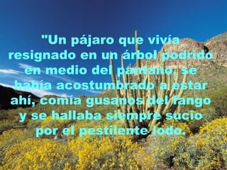 "Un pájaro que vivía resignado en un árbol podrido en medio del pantano, se había acostumbrado a estar ahí, comía gusanos del fango y se hallaba siempre sucio por el pestilente lodo. 