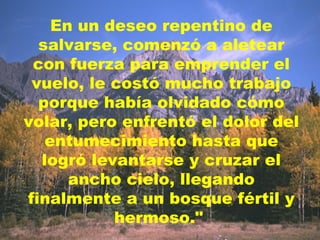 En un deseo repentino de salvarse, comenzó a aletear con fuerza para emprender el vuelo, le costó mucho trabajo porque había olvidado cómo volar, pero enfrentó el dolor del entumecimiento hasta que logró levantarse y cruzar el ancho cielo, llegando finalmente a un bosque fértil y hermoso."   