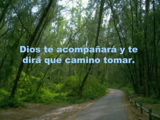 Dios te acompañará y te dirá que camino tomar. 