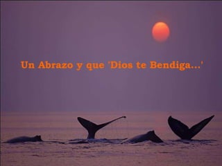 Un Abrazo y que 'Dios te Bendiga...' 