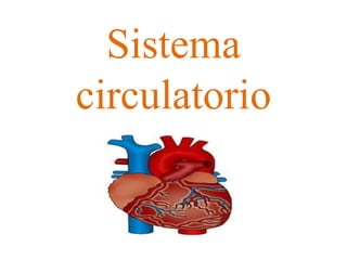 Sistema
circulatorio

 