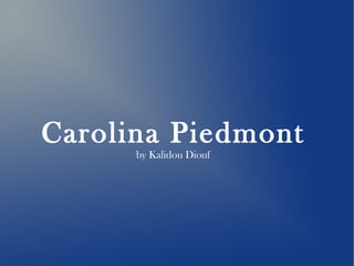 Carolina Piedmont 
by Kalidou Diouf 
 