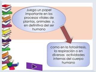 Juega un papel 
importante en los 
procesos vitales de 
plantas, animales y, 
en definitiva del ser 
humano 
como en la fotosíntesis, 
la respiración o en 
diversas actividades 
internas del cuerpo 
humano 
 