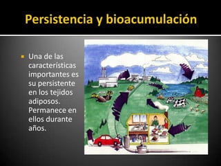    Una de las
    características
    importantes es
    su persistente
    en los tejidos
    adiposos.
    Permanece en
    ellos durante
    años.
 
