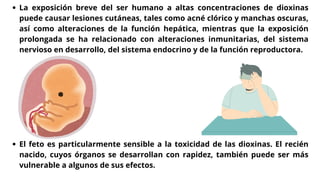 La exposición breve del ser humano a altas concentraciones de dioxinas
puede causar lesiones cutáneas, tales como acné clórico y manchas oscuras,
así como alteraciones de la función hepática, mientras que la exposición
prolongada se ha relacionado con alteraciones inmunitarias, del sistema
nervioso en desarrollo, del sistema endocrino y de la función reproductora.
El feto es particularmente sensible a la toxicidad de las dioxinas. El recién
nacido, cuyos órganos se desarrollan con rapidez, también puede ser más
vulnerable a algunos de sus efectos.
 