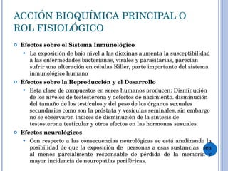 ACCIÓN BIOQUÍMICA PRINCIPAL O ROL FISIOLÓGICO Efectos sobre el Sistema Inmunológico La exposición de bajo nivel a las dioxinas aumenta la susceptibilidad a las enfermedades bacterianas, virales y parasitarias, parecían sufrir una alteración en células Killer, parte importante del sistema inmunológico humano  Efectos sobre la Reproducción y el Desarrollo Esta clase de compuestos en seres humanos producen: Disminución de los niveles de testosterona y defectos de nacimiento. disminución del tamaño de los testículos y del peso de los órganos sexuales secundarios como son la próstata y vesículas seminales, sin embargo no se observaron índices de disminución de la síntesis de testosterona testicular y otros efectos en las hormonas sexuales. Efectos neurológicos Con respecto a las consecuencias neurológicas se está analizando la posibilidad de que la exposición de  personas a esas sustancias  sea al menos parcialmente responsable de pérdida de la memoria y mayor incidencia de neuropatías periféricas.  