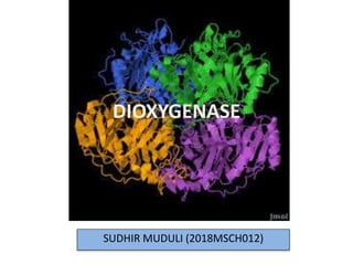 SUDHIR MUDULI (2018MSCH012)
DIOXYGENASE
 