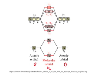Dioxygen complexes, dioxygen as ligand | PPT