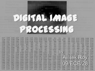 DIGITAL IMAGE
 PROCESSING

         by
          Avisek Roy
          09/ECE/28
 