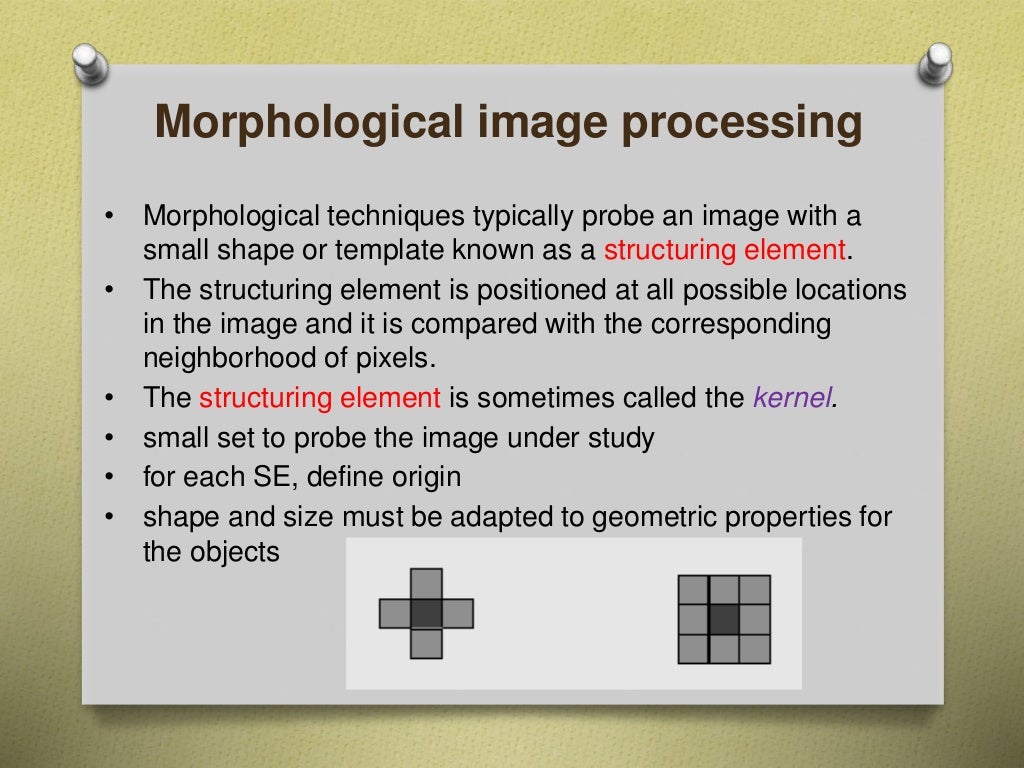 Digital image processing techniques