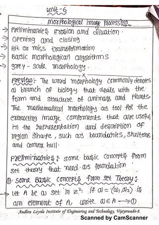Dip morphological notes | PDF