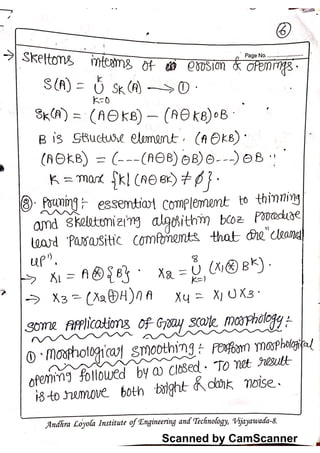 Dip morphological notes | PDF
