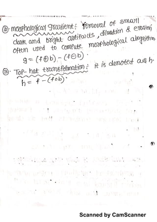 Dip morphological notes | PDF