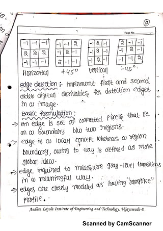 Dip morphological notes | PDF