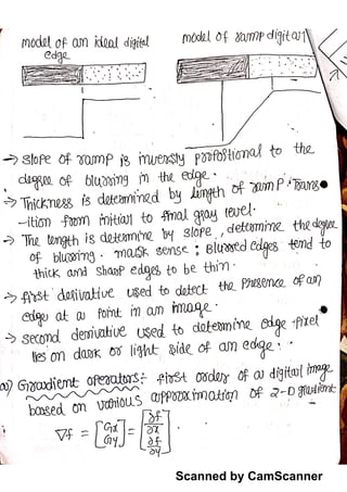Dip morphological notes | PDF