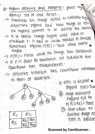 Dip morphological notes | PDF