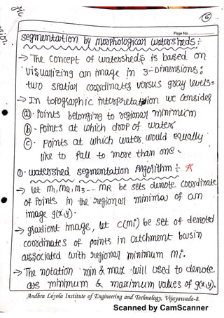 Dip morphological notes | PDF