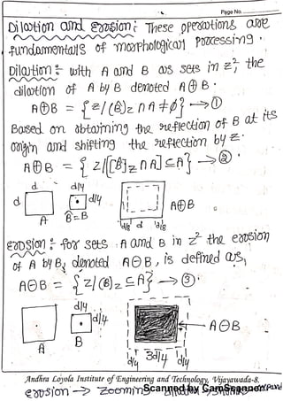 Dip morphological notes | PDF