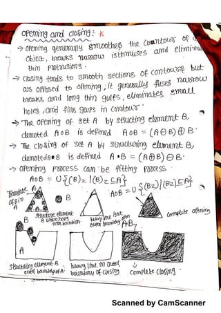 Dip morphological notes | PDF