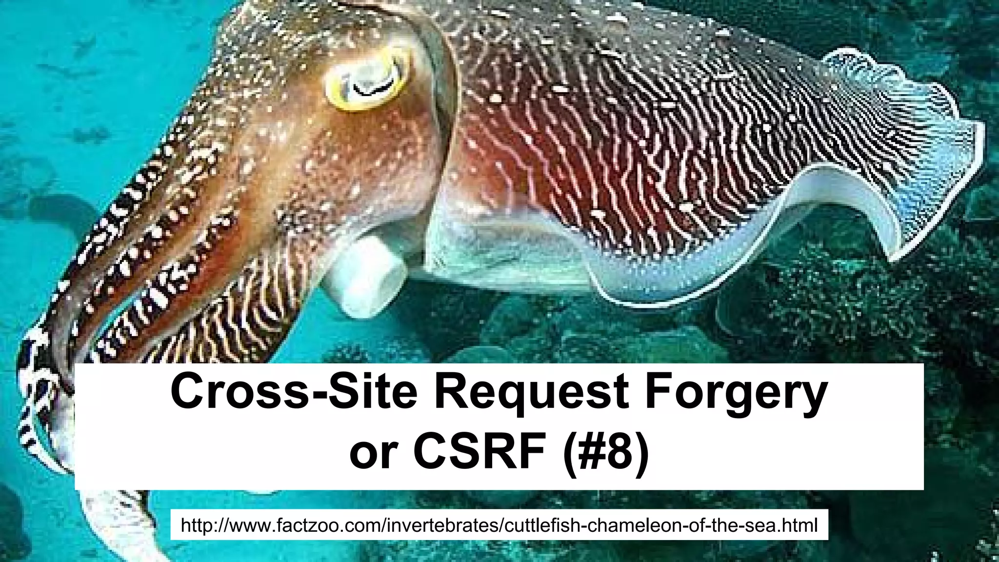 Cross-Site Request Forgery
or CSRF (#8)
http://www.factzoo.com/invertebrates/cuttlefish-chameleon-of-the-sea.html
 